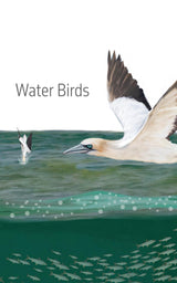 The Ontario Birding Journal and Checklist