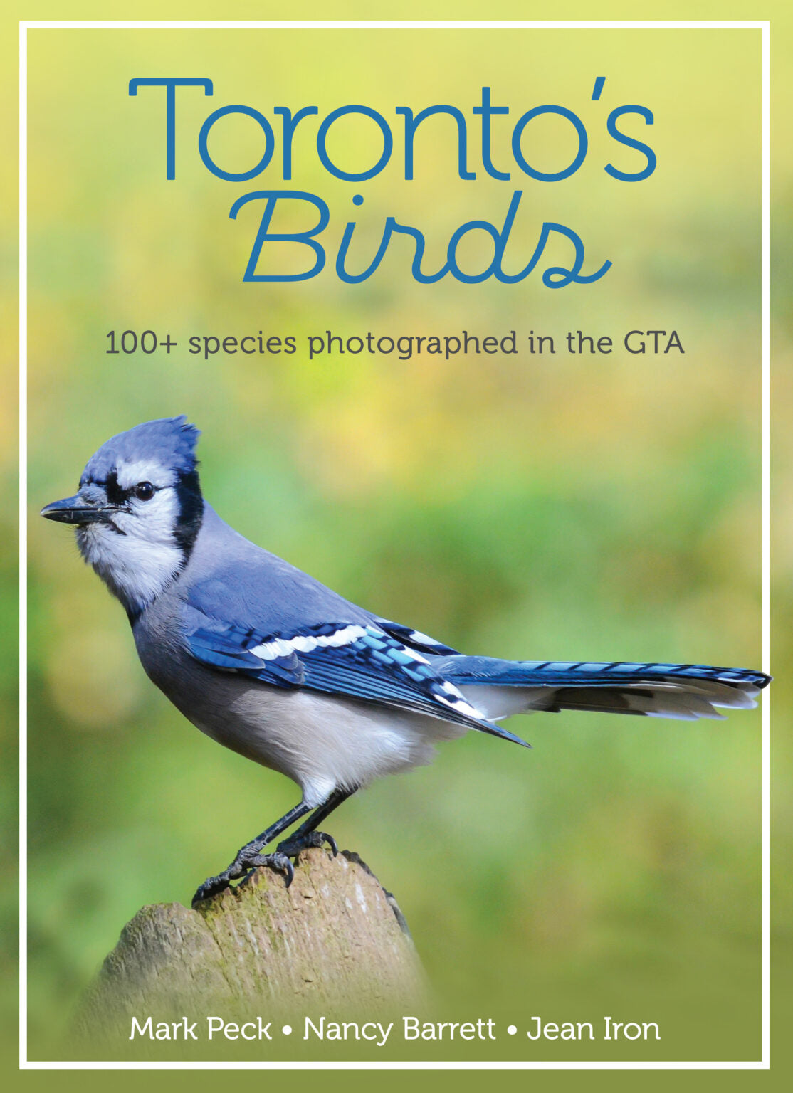 Toronto’s Birds by Mark Peck, Nancy Barrett, and Jean Iron