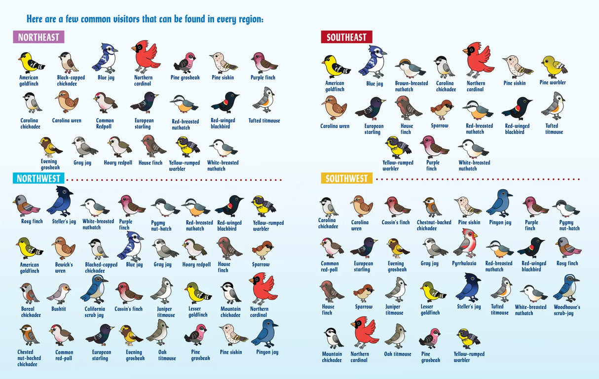 Turn This Book Into a Bird Feeder!