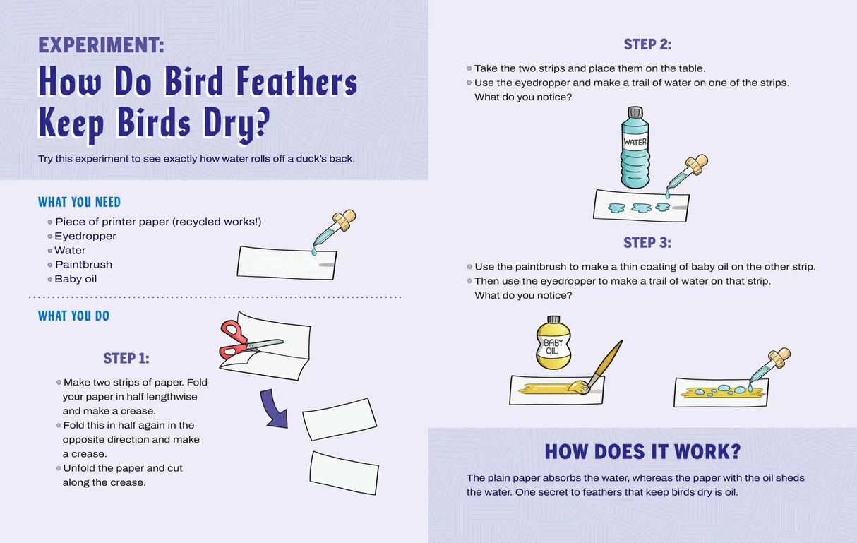 Turn This Book Into a Bird Feeder!