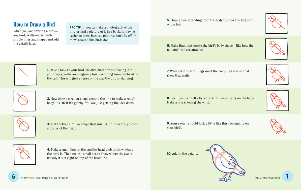 Turn This Book Into a Bird Feeder!