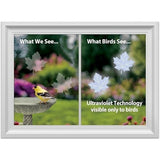 Window Alert Maple Leaf Transparent Bird Strike Deterrent, 4PK