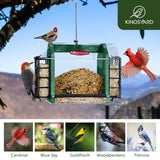 Weatherproof Double Suet Hopper Bird Feeder, Green