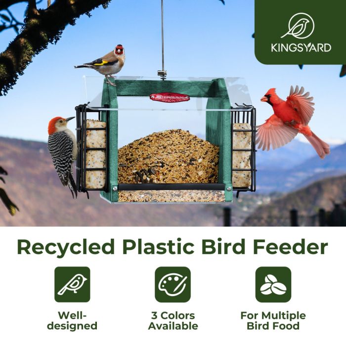 Weatherproof Double Suet Hopper Bird Feeder, Green