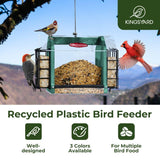 Weatherproof Double Suet Hopper Bird Feeder, Green