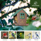 Weatherproof Large Capacity Hopper Bird Feeder, Green