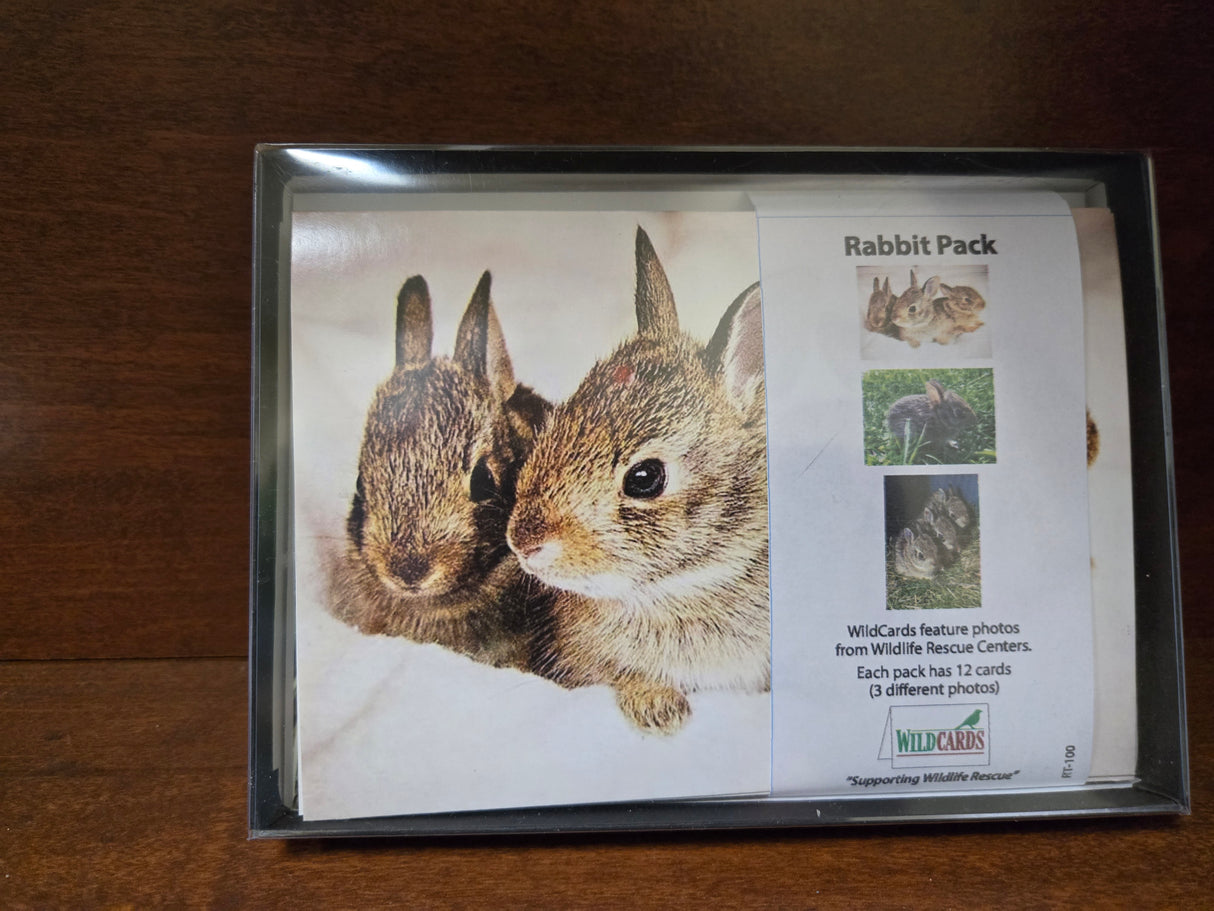 WildCards Rabbit Greeting Cards Pack