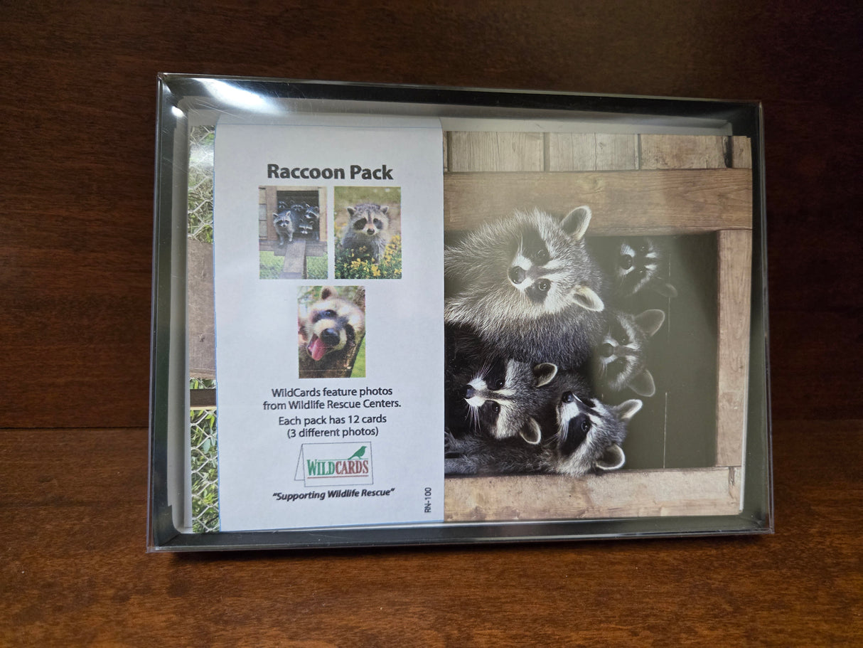 WildCards Raccoon Greeting Cards Pack