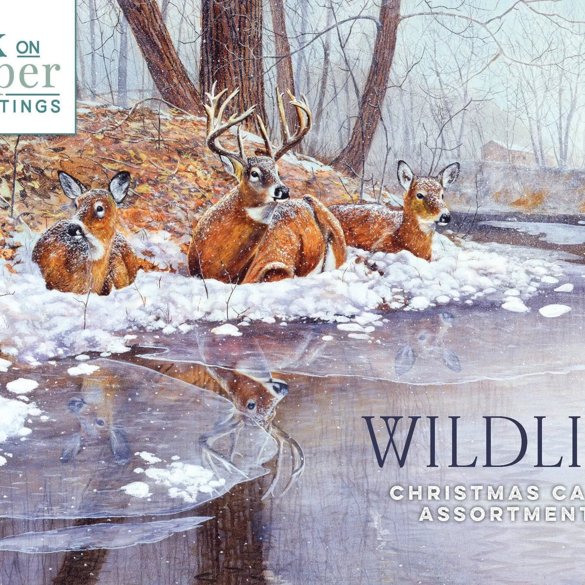 National Wildlife Federation Christmas Cards 2026