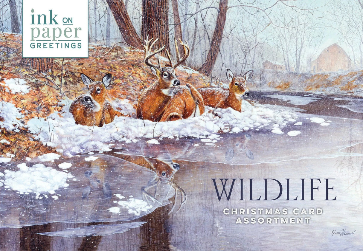 Wildlife Christmas Cards