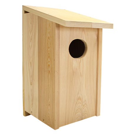 Wood Duck Joy Box Birdhouse