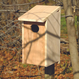 Wood Duck Joy Box Birdhouse