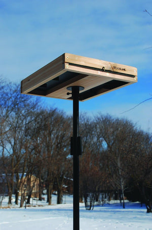 Woodlink 3-in-1 Platform Bird Feeder