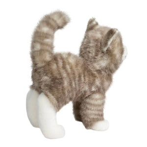 Zipper Gray Tabby Cat
