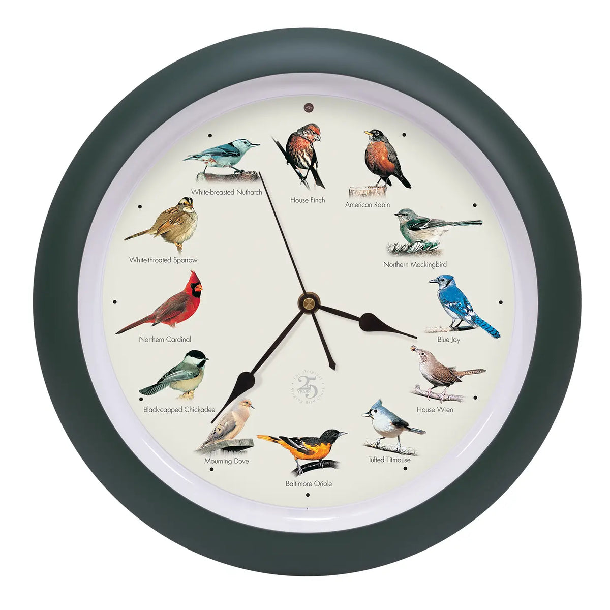 25th Anniversary Original Singing Bird Clock, 13 Inch, Green – Urban ...