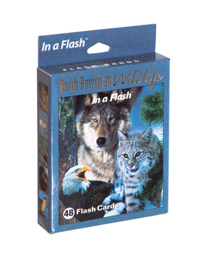 North American Wildlife Flash Cards