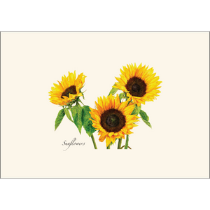 3 Sunflowers Boxed Notes