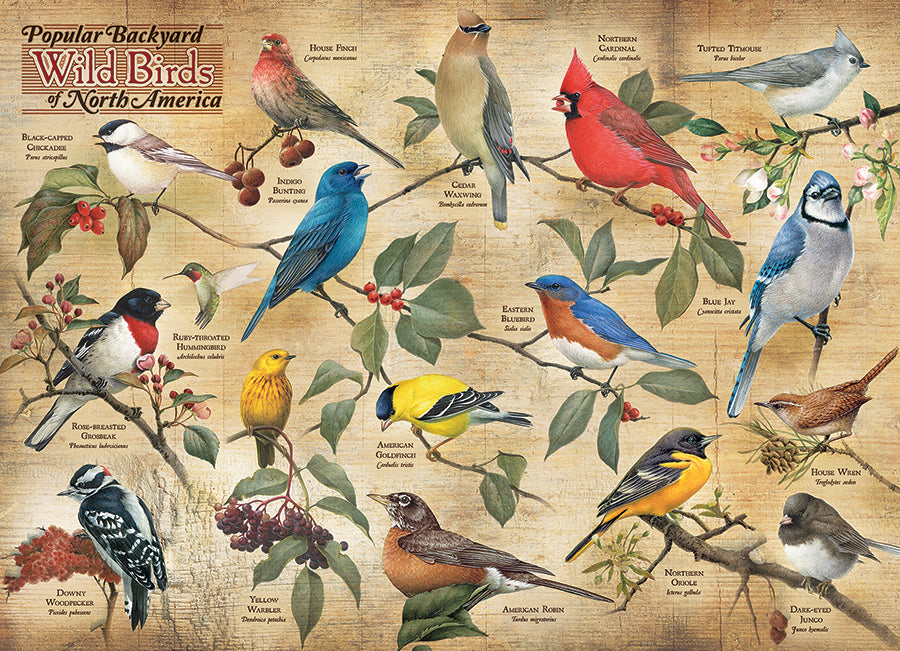 Buy Popular Backyard Wild Birds of North America 1000pc Puzzle Online