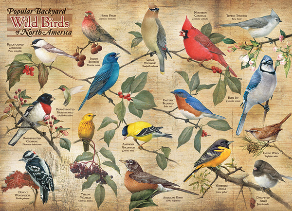 ス*1様 Big Bird vol.3 ☆ 8点セット Buy Popular Backyard Wild Birds of North America 1000pc Puzzle