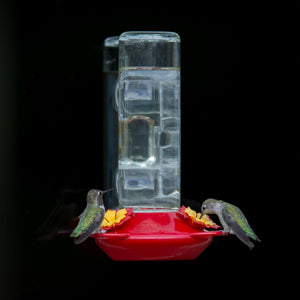 Perky-Pet Window Mounted 14-Ounce Glass Hummingbird Feeder