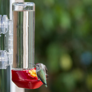 Perky-Pet Window Mounted 14-Ounce Glass Hummingbird Feeder