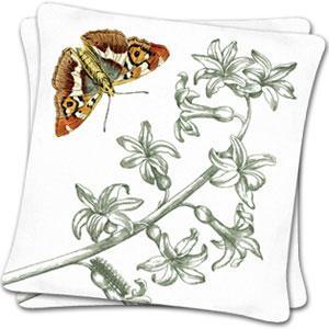 Set of 2 Moth Chasers, Butterflies IV