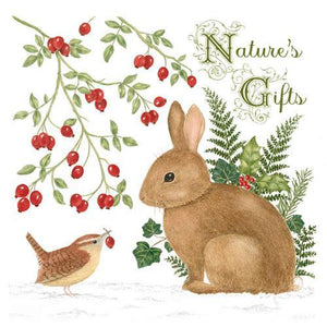 Nature's Gifts Flour Sack Towels, Set of 2