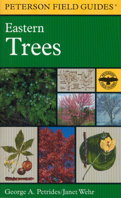 A Peterson Field Guide to Eastern Trees