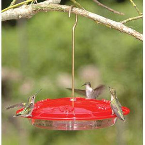 Aspects Hummzinger Excel Hummingbird feeder