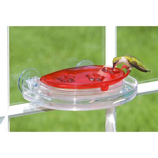 Aspects Jewel Box Window Hummingbird Feeder