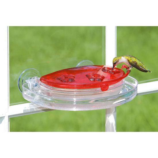 Buy Aspects Jewel Box Window Hummingbird Feeder Online With