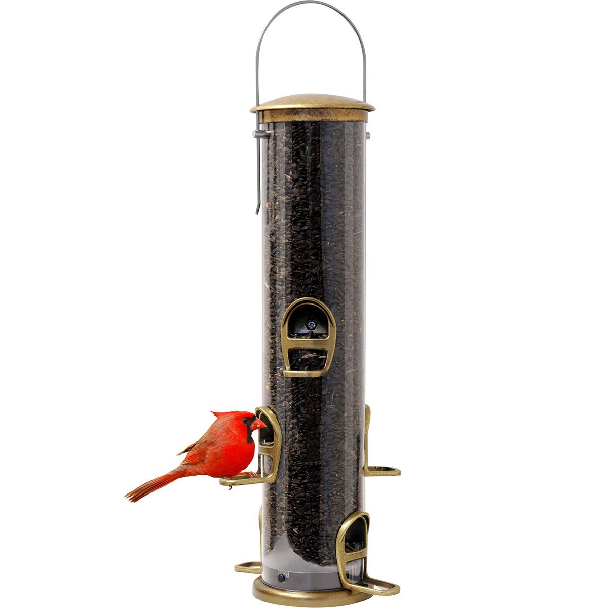 Buy Quick-Clean Big Tube Feeder, Antique Brass Online in Canada
