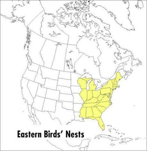 A Field Guide to Eastern Birds' Nests: United States east of the Mississippi River