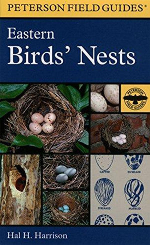 A Field Guide to Eastern Birds' Nests: United States east of the Mississippi River