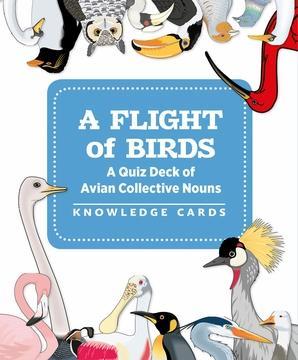 A Flight of Birds, A Quiz Deck of Avian Collective Nouns