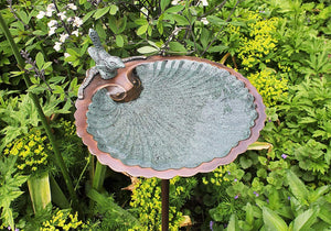 Achla Designs Scallop Shell Birdbath with Stand
