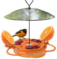 All-in-one Oriole Buffet