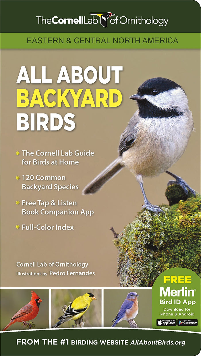 All About Backyard Birds, Eastern & Central North America