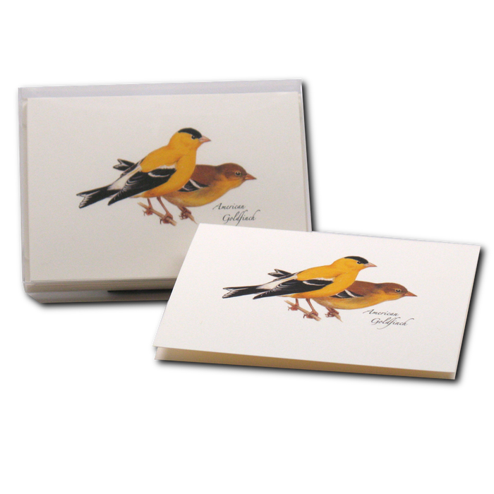 American Goldfinch Boxed Notecards