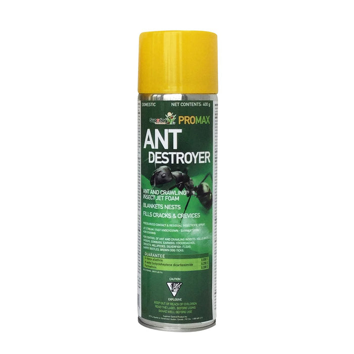 Ant Destroyer Foam Spray, 350g