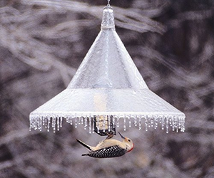 Arundale Hanging Squirrel-Away Baffle, Clear (Store Pickup Only)