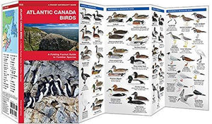 Atlantic Canada Birds