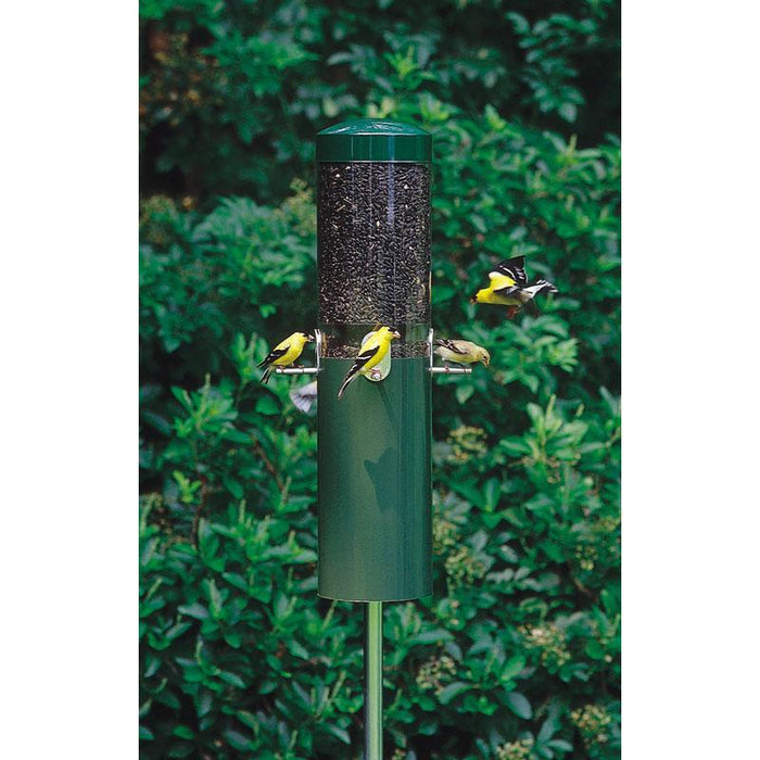 Classic Feeder w/Built-In Squirrel Baffle and Pole