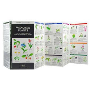 Pocket Naturalist: Medicinal Plants