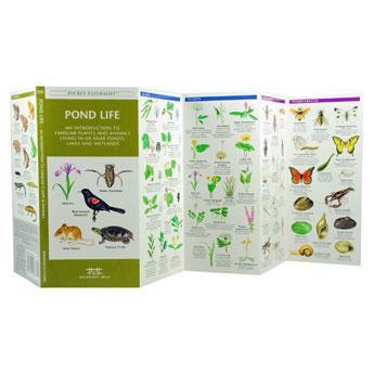 Pocket Naturalist: Pond Life 2nd Edition
