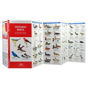 Pocket Naturalist: Ontario Birds 2nd Edition