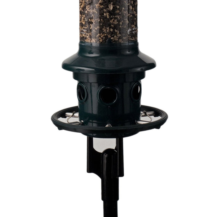 Squirrel Buster Plus Pole Adapter