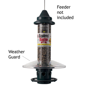 Squirrel Buster Plus Weather Guard