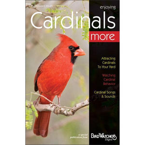 Backyard Booklet Series: Enjoying Cardinals More