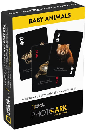 Baby Animals Playing Cards